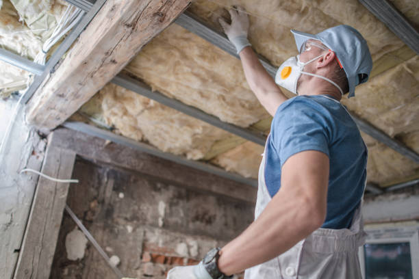 Best Insulation Maintenance and Repair in Mascoutah, IL